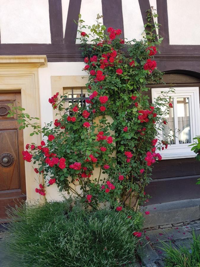 Fewo Niedere Muehlwiese Apartment Grossschonau Bagian luar foto