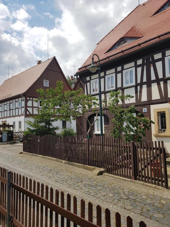 Fewo Niedere Muehlwiese Apartment Grossschonau Bagian luar foto