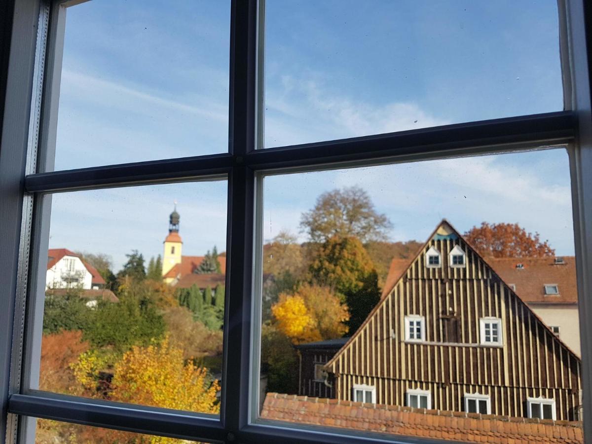 Fewo Niedere Muehlwiese Apartment Grossschonau Bagian luar foto